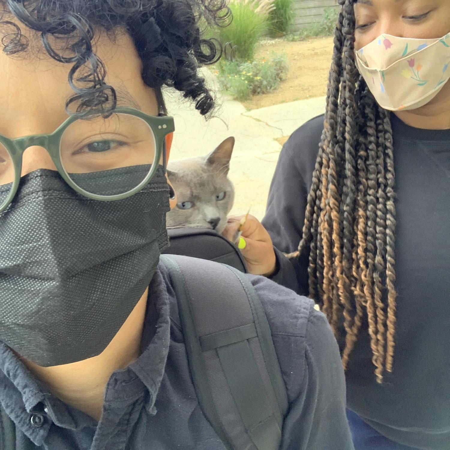 We took him on walks.