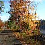 Windham Rail Trail