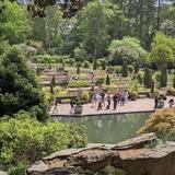 Sarah P. Duke Gardens
