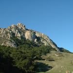 Bishops Peak Trail Head