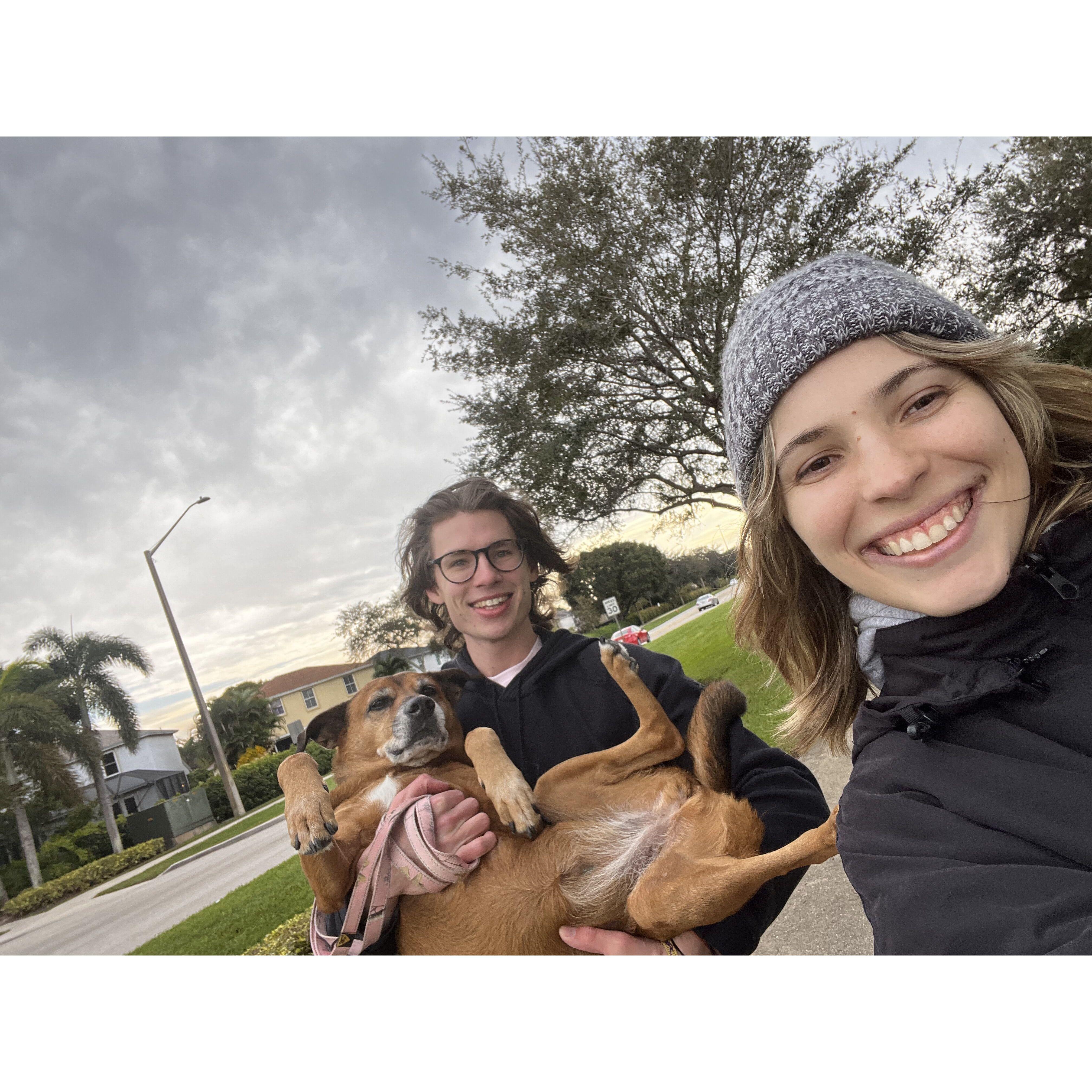 Coco the lovable nugget