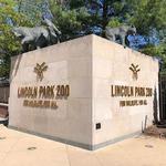 Lincoln Park Zoo