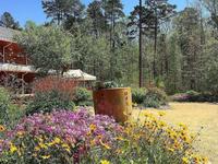 North Carolina Botanical Garden