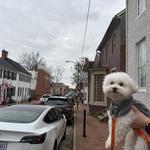Leesburg Historic District