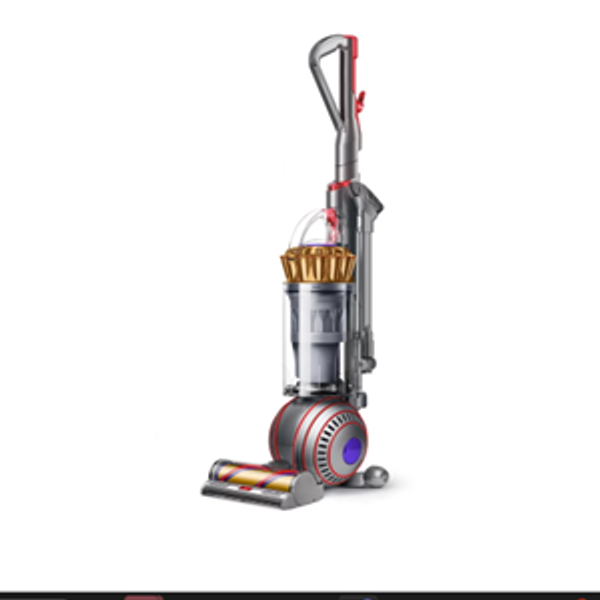 Dyson Ball Animal 3 Complete (Gold)