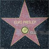 Hollywood Boulevard & Walk of Fame
