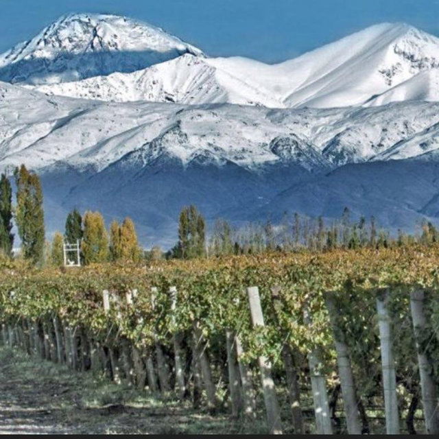 Winery Tour for Two Lujan Region of Argentina