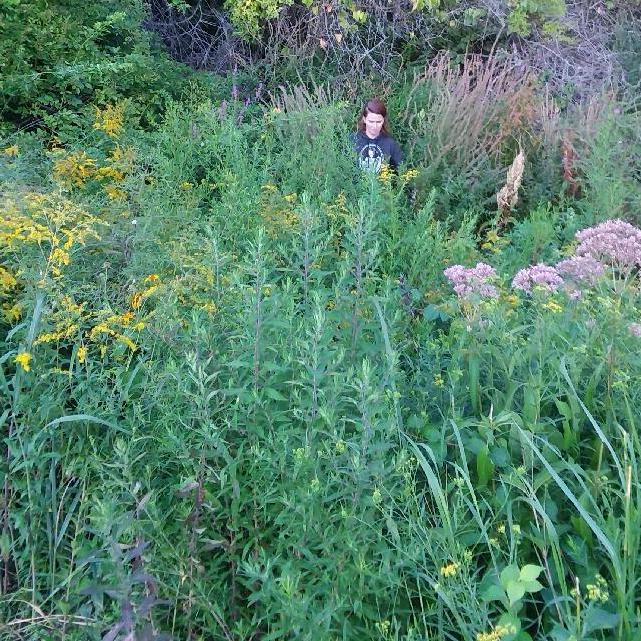 Ryan supports Betsy's frequent inclination to veer off into the brush to pick berries