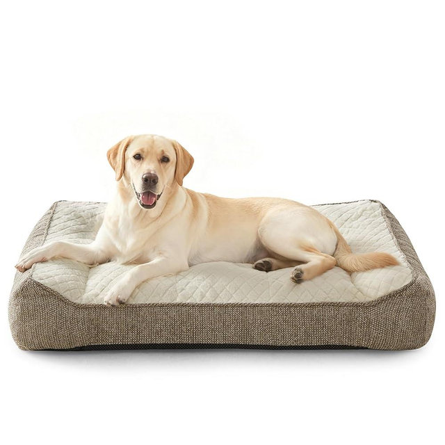 JOEJOY XL Orthopedic Dog Beds Large Sized Dog, Extra Thick Supportive Big Dogs Couch Bed with Sides, Ultra Soft Pet Bed Sofa for Large Dogs, Beige, 42inch