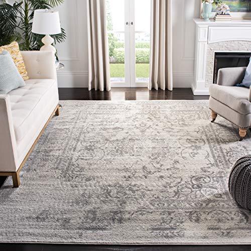 Safavieh Adirondack Area Rug, 8' x 10', Ivory/Silver