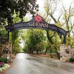 Gervasi Vineyard