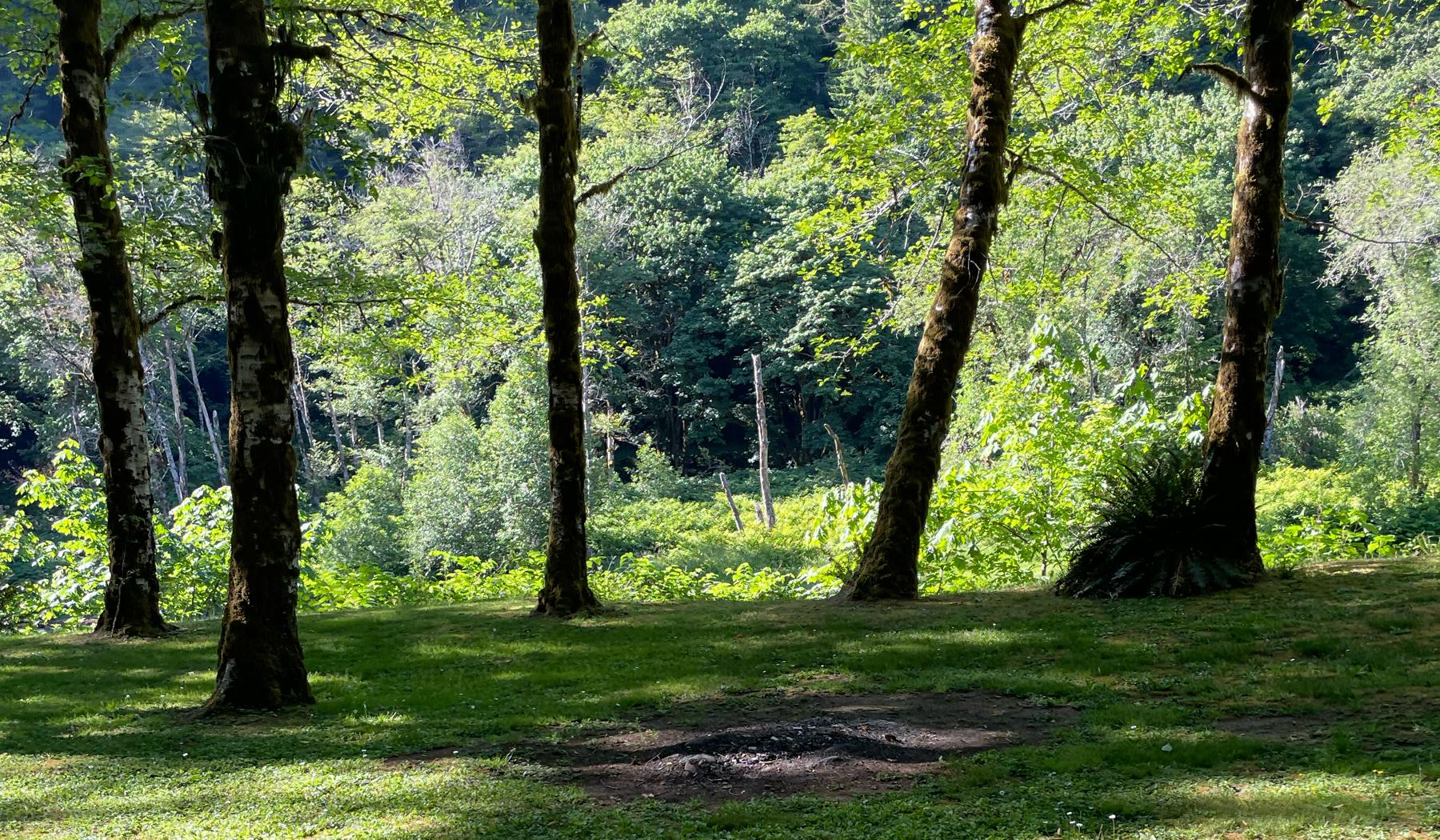 The Wedding Website of Zoe Haight and Shane Mergel