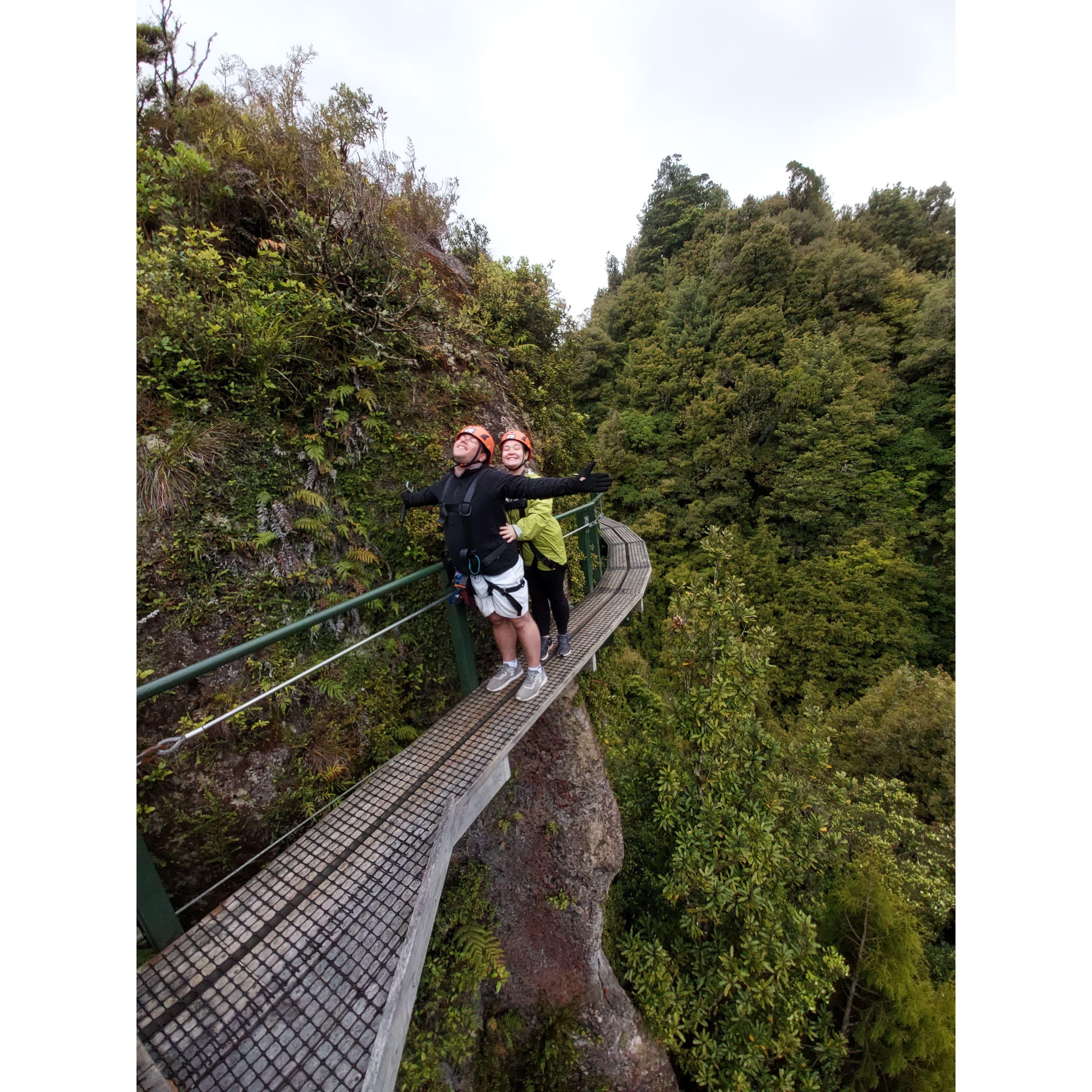 Ziplining the canopy top of New Zealand