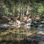 Mink Brook Nature Preserve