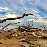 Boneyard Beach
