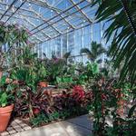 Roger Williams Park Botanical Center