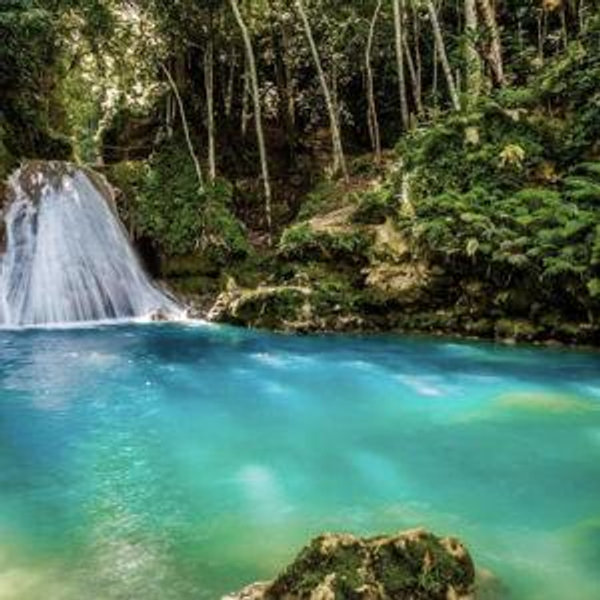 Honeymoon - Dunn's River Falls Excursion