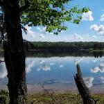 Sylvania Wilderness