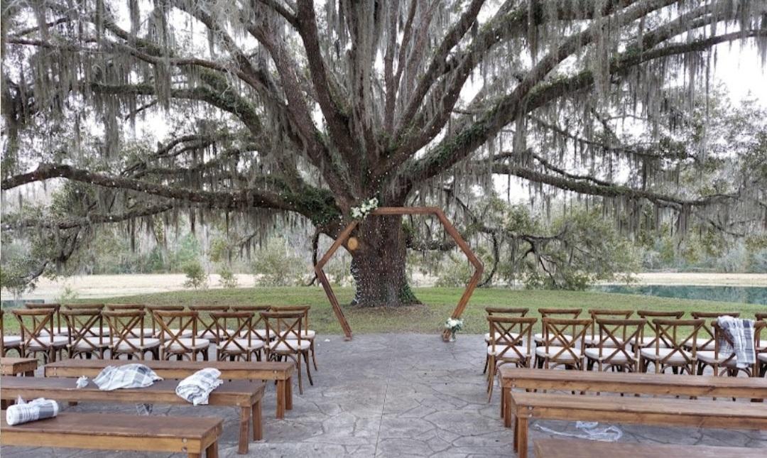 The Wedding Website of Rachel Wynn and Chris Toeller