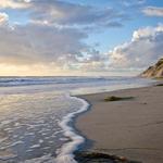 Carlsbad State Beach