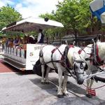 Springbrook Farms Carriage