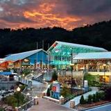 Ripley's Aquarium of the Smokies