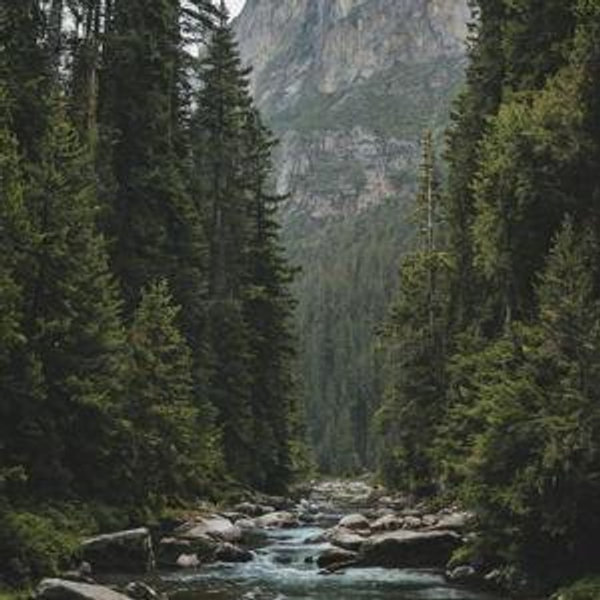 Travel
