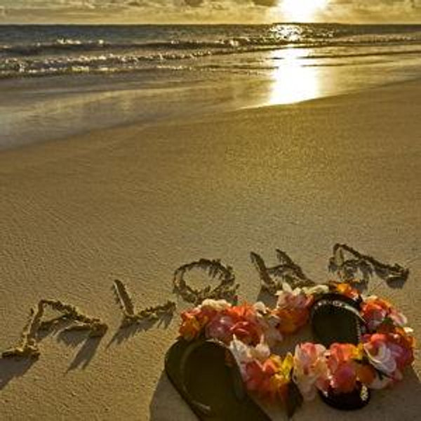 Traditional Luau