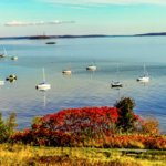 Eastern Promenade + food trucks in Portland