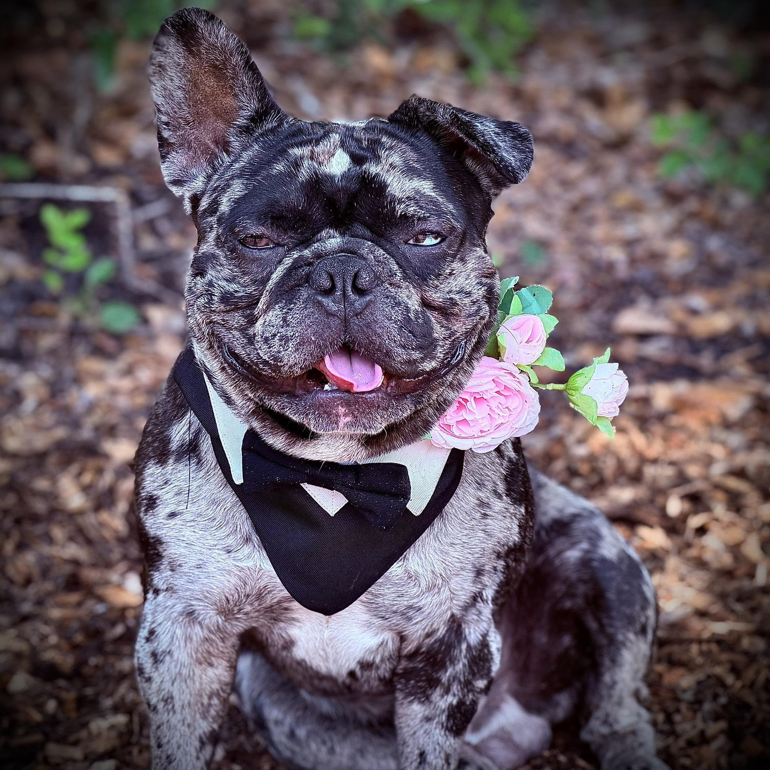 Our heartbreaker ❤️