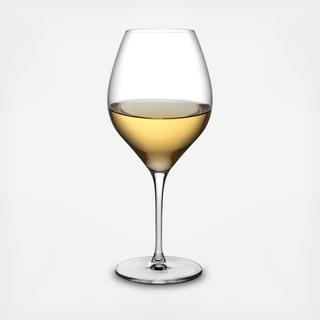 Vinifera White Wine Glass, Set of 2