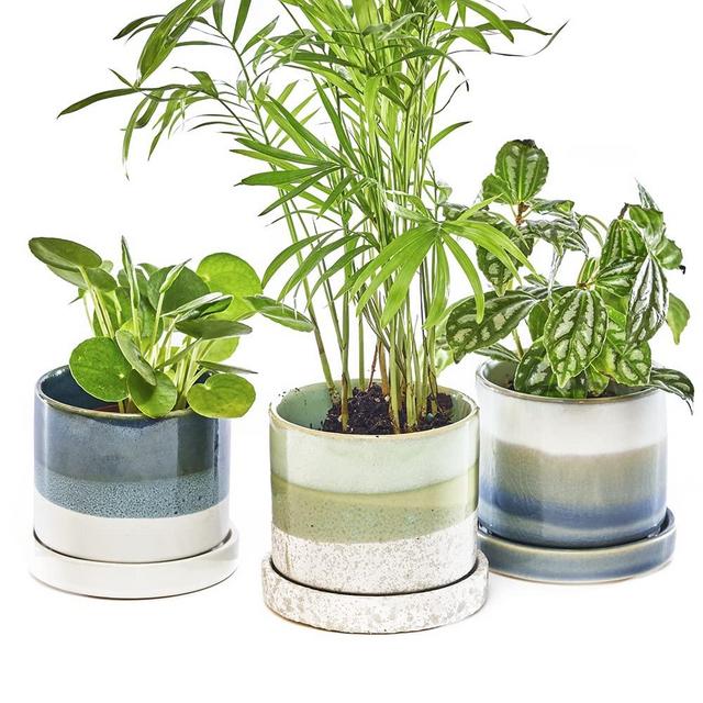 CHIVE ‘Minute’ Ceramic Succulent Planters — Set of 3 — 3” Indoor Cactus & Flower Container Pots with Drainage & Detachable Saucer — Green Blue Mix