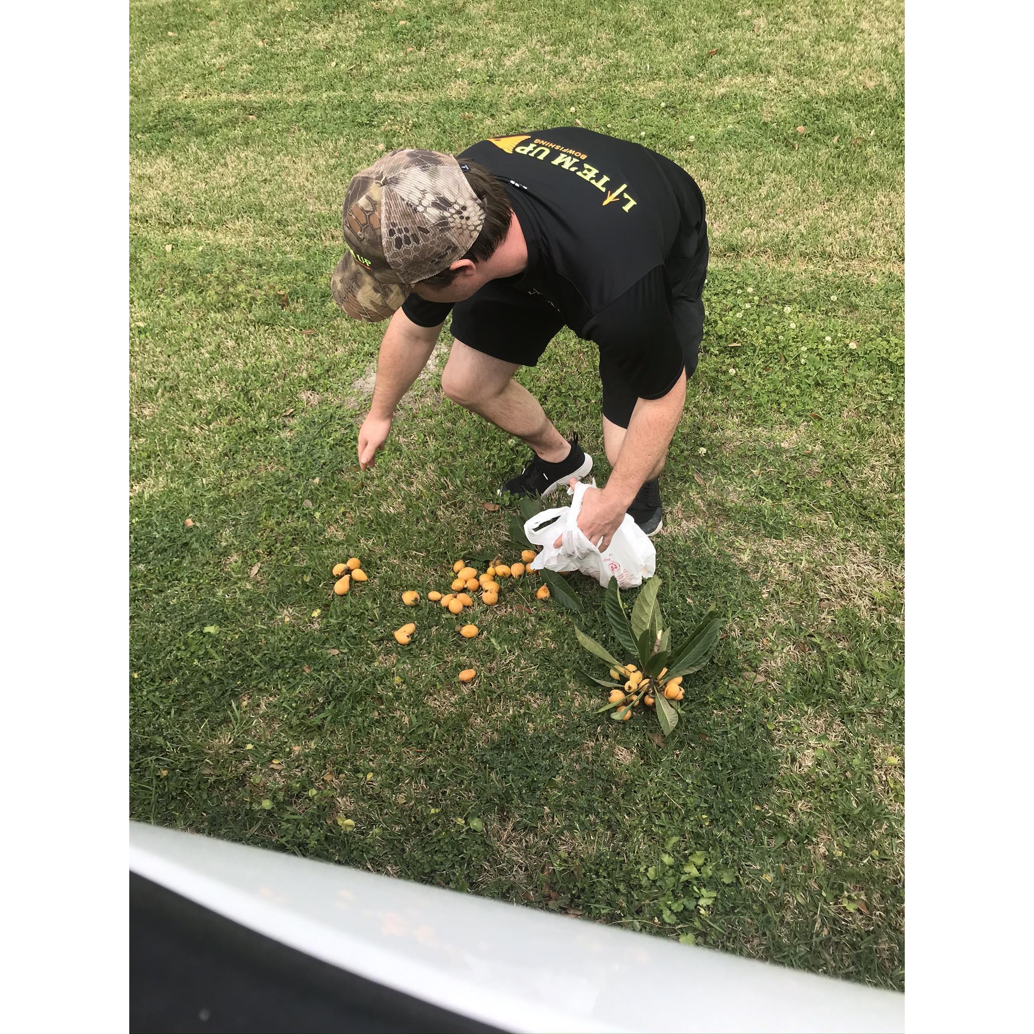 Picking them up after I freaked out over a spider and threw the bag.