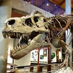Montshire Museum of Science