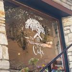 Treehouse Café
