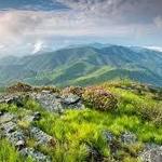 Pisgah National Forest