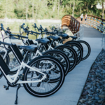 Shoreline Rentals