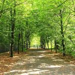 E.P. Tom Sawyer State Park