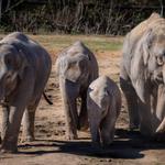 Oklahoma City Zoo