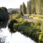 Woodinville Valley Trail