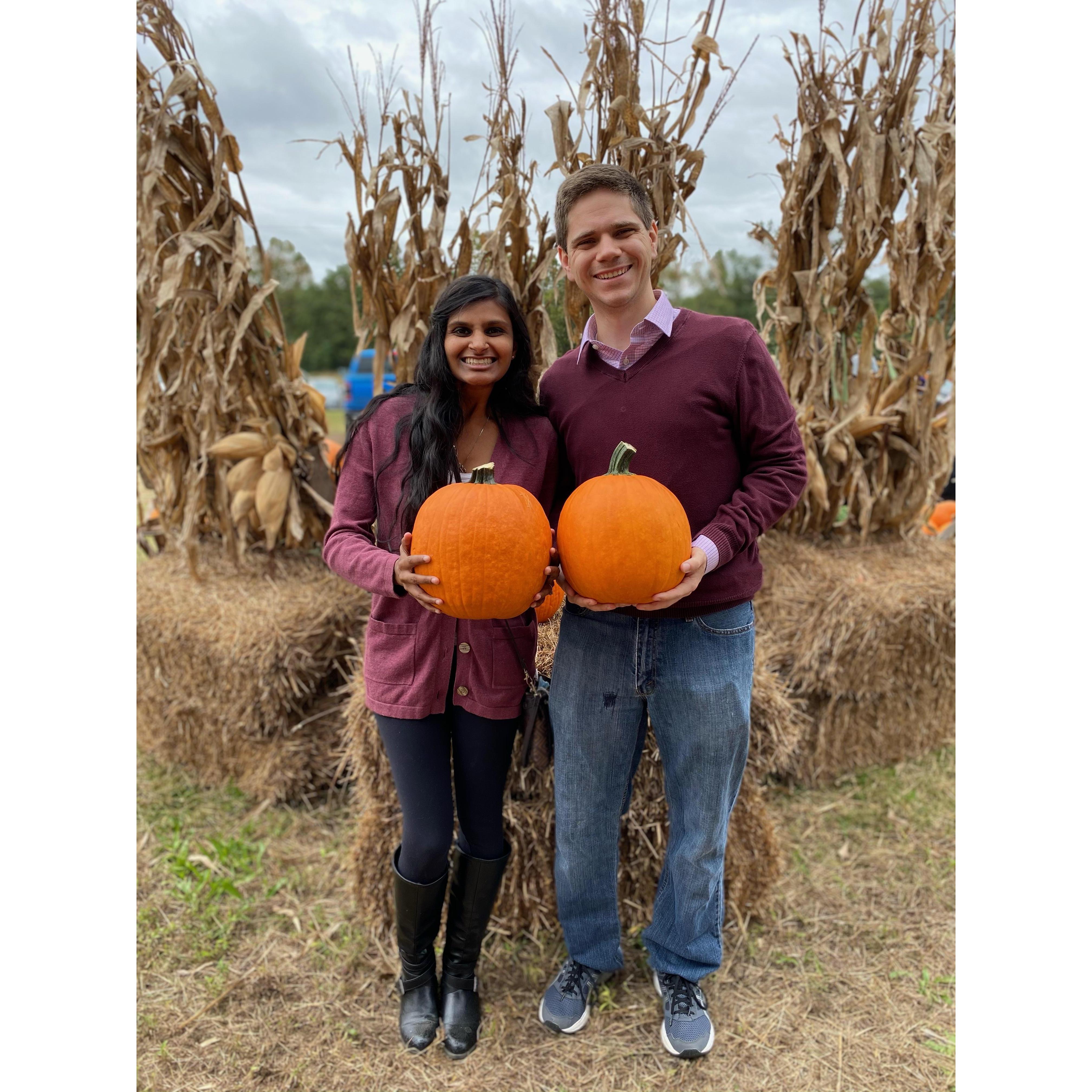 Pumpkin picking is so fun!
