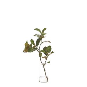 Faux Magnolia Branch