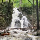 Fitzgerald Falls