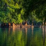 Parque Nacional Lago de Camecuaro
