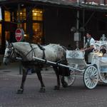 Magical Journey Carriage Service