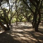 Oak Canyon Nature Center