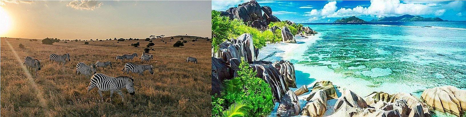 1a8b3c2e-9c88-4137-9e3b-fb42836651e5