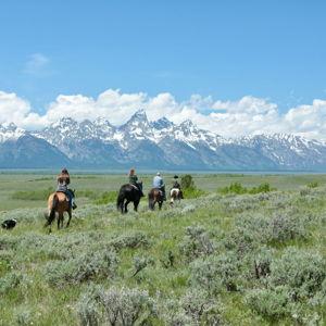 Horseback Riding On Our Honeymoon