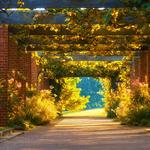 Chicago Botanic Garden