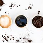 81301 Coffee House and Roasters